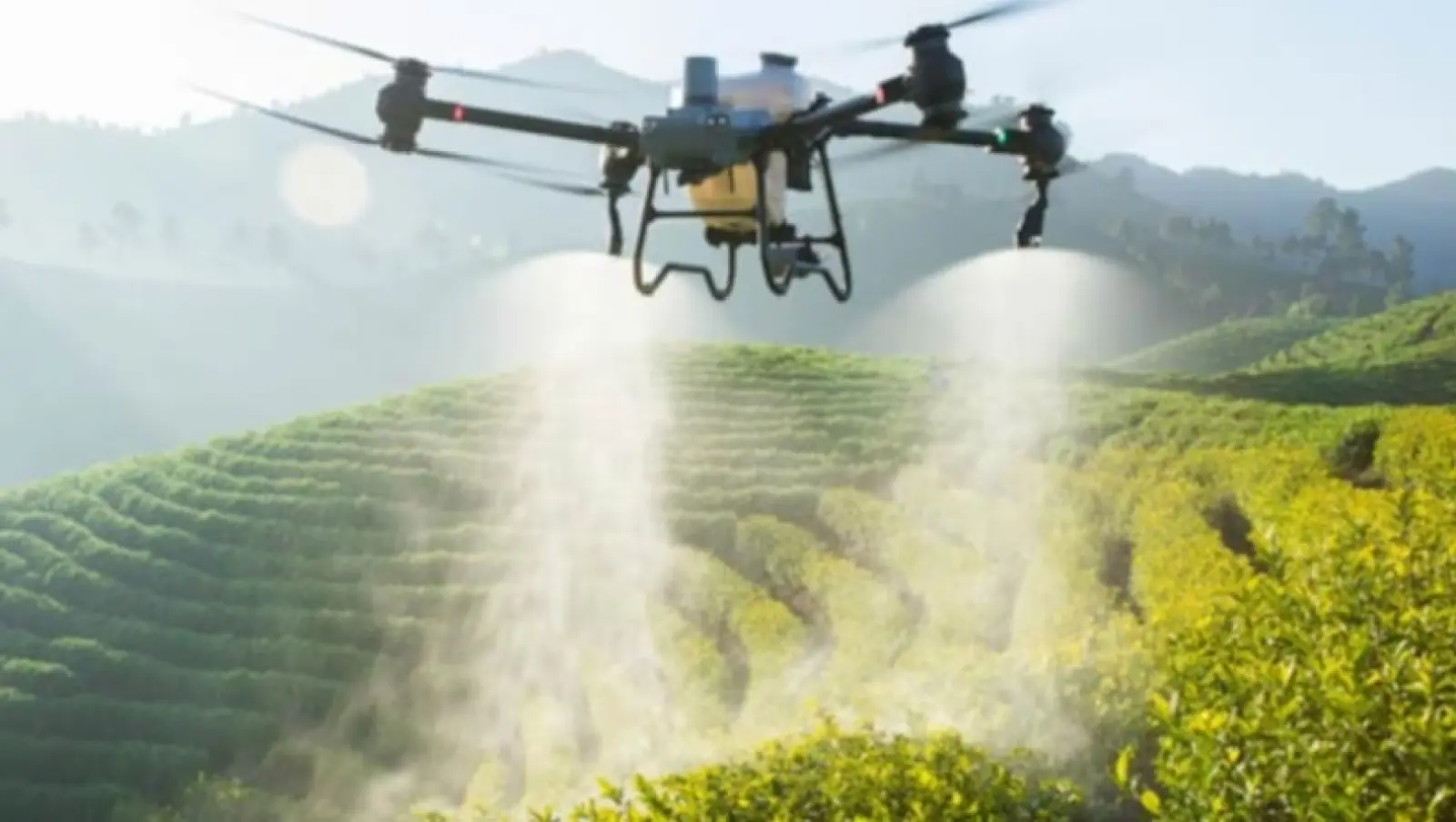 Τρύγος με drones στη Γαλικία: «Κάνουμε σε 10 ώρες την δουλειά 2,5 ημερών»
