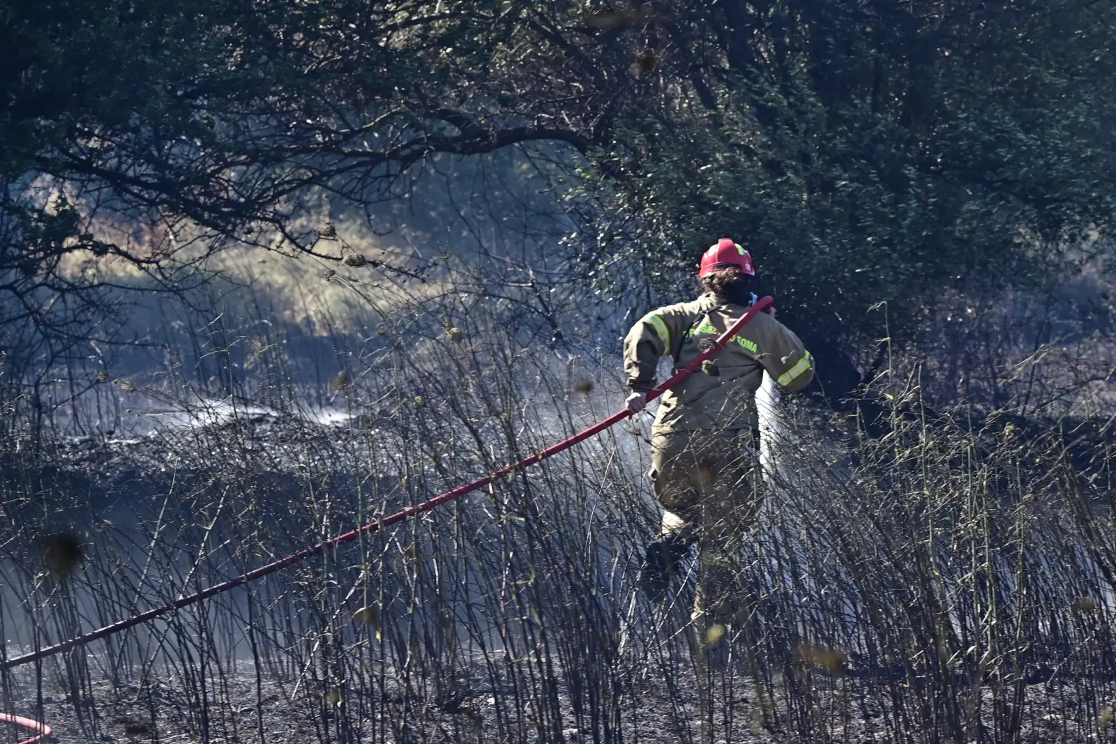 Πυρκαγιά σε χαμηλή βλάστηση στην Τρίγλια Χαλκιδικής-Σηκώθηκε ελικόπτερο