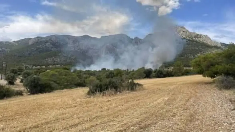 Καίγεται χορτολιβαδική έκταση στην Λάρδο Ρόδου