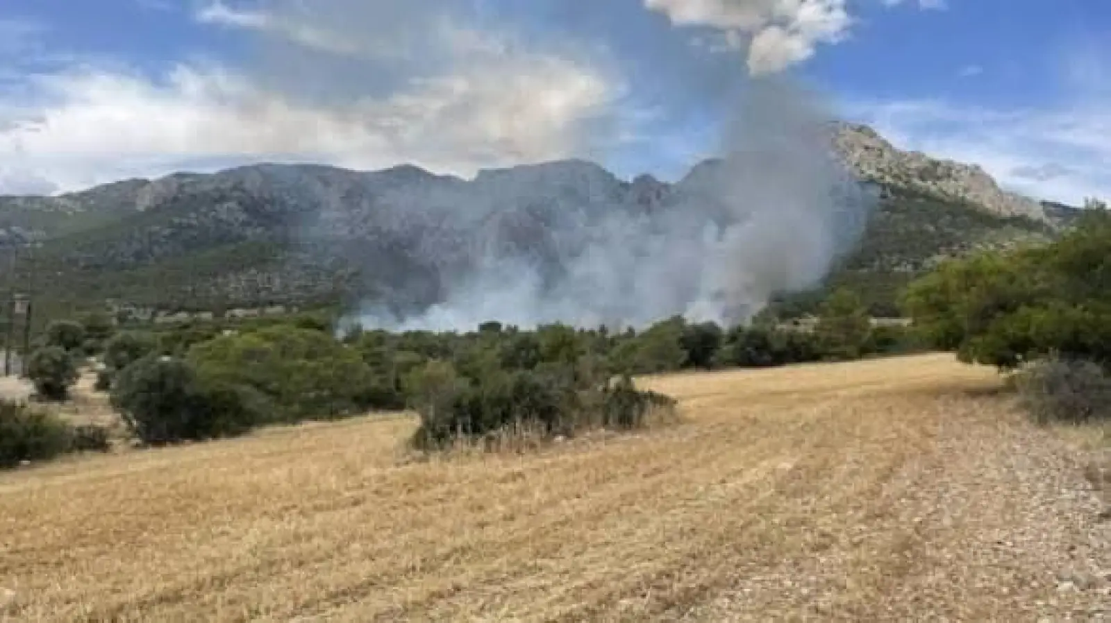 Καίγεται χορτολιβαδική έκταση στην Λάρδο Ρόδου