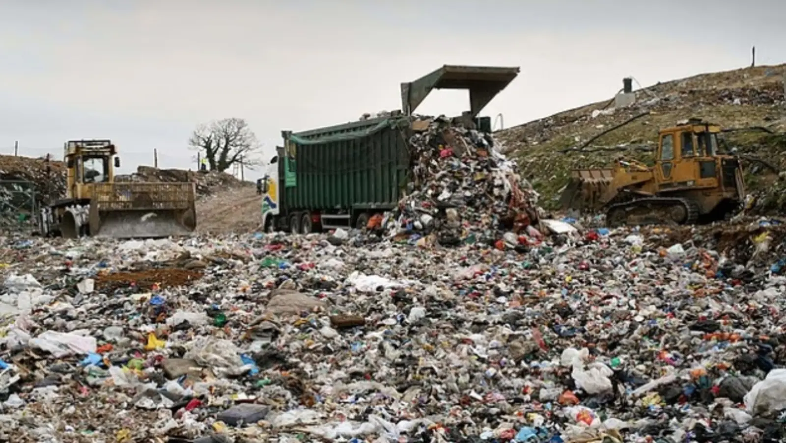 Πρέπει να ξεπλένετε κουτιά και μπουκάλια πριν τα πετάξετε στην ανακύκλωση; Επικεφαλής διαχείρισης αποβλήτων στη Βρετανία αποκαλύπτει