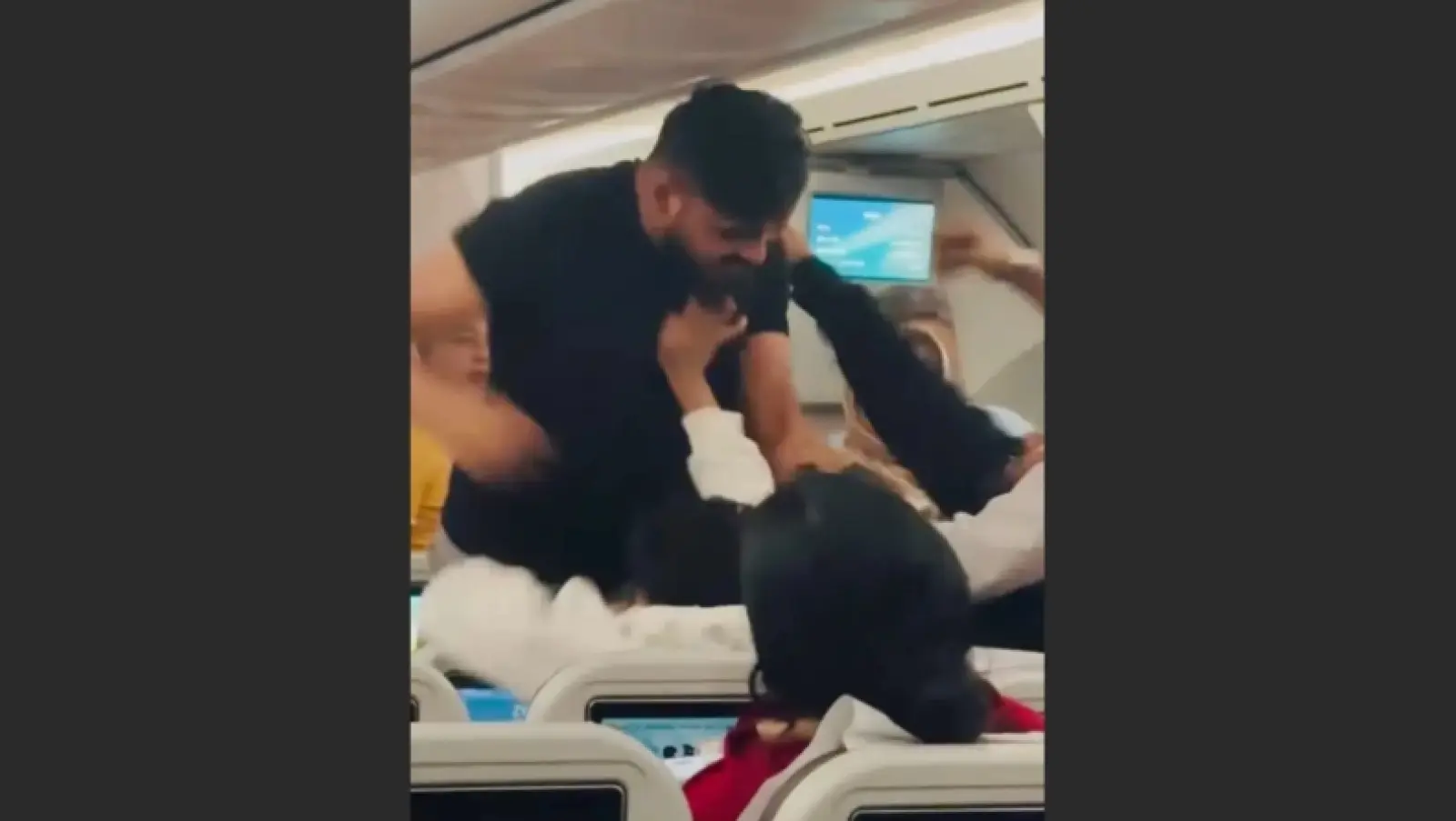 Άγριο ξύλο σε αεροπλάνο: Δύο άνδρες πιάστηκαν στα χέρια εν πτήσει - Βίντεο